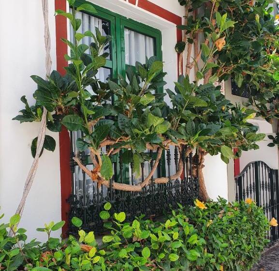 Billy S Marina Apartments With Pool Access, Puerto De Mogan