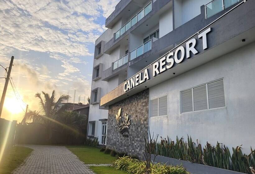 ホテル Canela Resort Kabalana