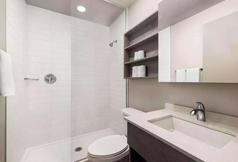 Microtel Inn & Suites By Wyndham Boisbriand