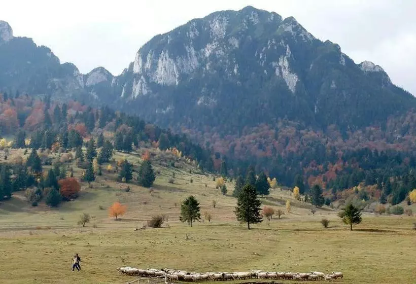 Majatalo Taverna Pietrei Craiului