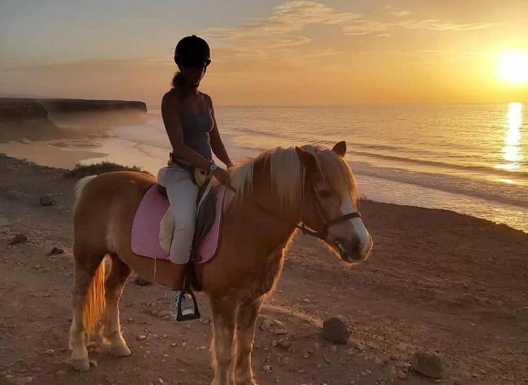 هاستل Alaia Tiny House Between Volcanoes And Beach Breaks