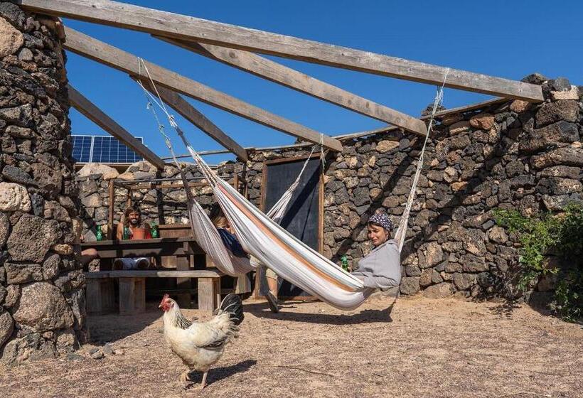 هاستل Alaia Tiny House Between Volcanoes And Beach Breaks