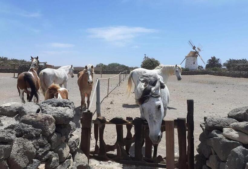 هاستل Alaia Tiny House Between Volcanoes And Beach Breaks