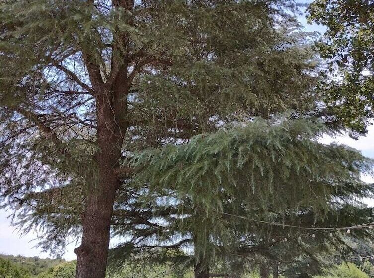 בית מלון כפרי Carod Espacio Serrano