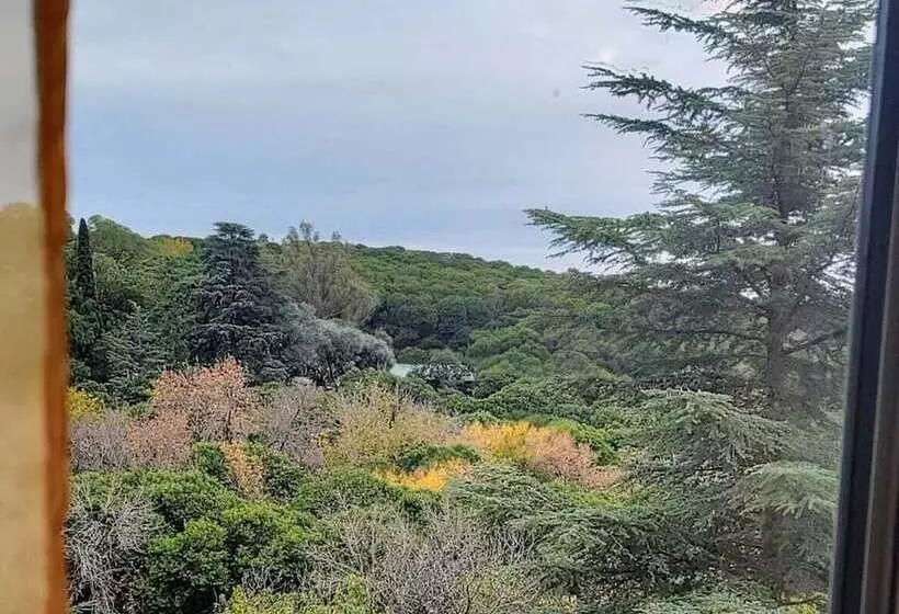 Hotelli Carod Espacio Serrano