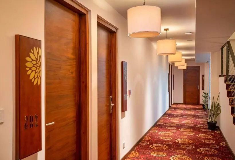 ホテル Grand Serendib