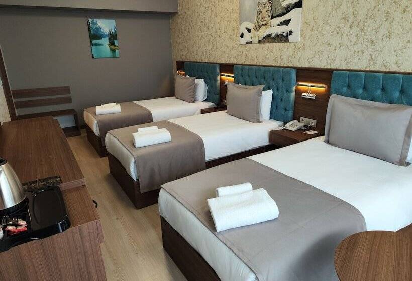 בית מלון כפרי Grand Salizze