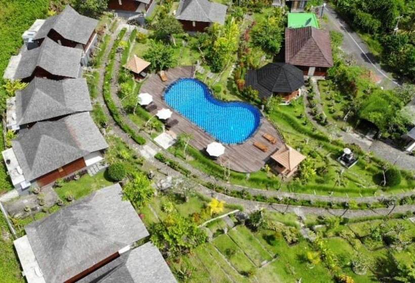 The Kleep Jungle Resort