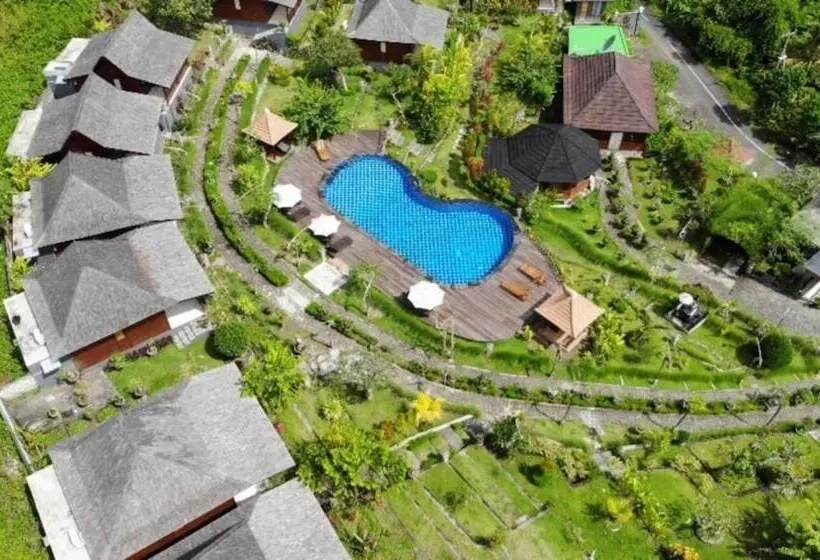 The Kleep Jungle Resort