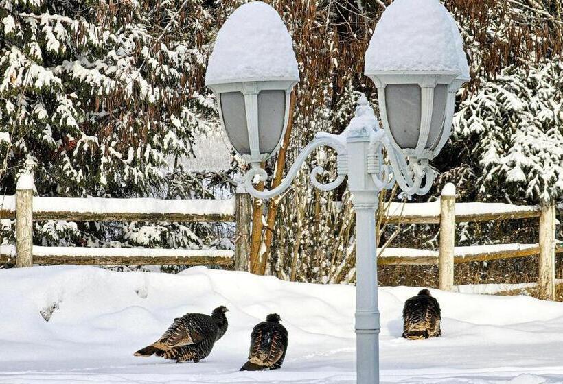 Gardenview Estate Bed And Breakfast