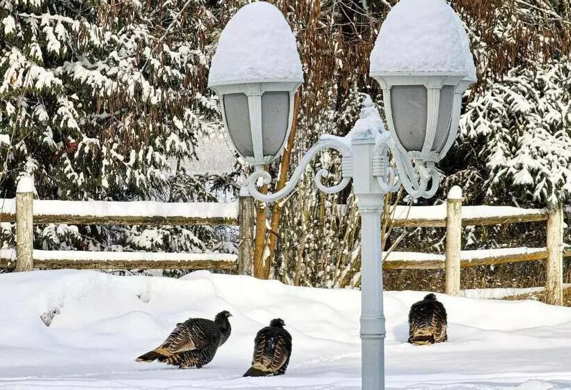 Gardenview Estate Bed And Breakfast