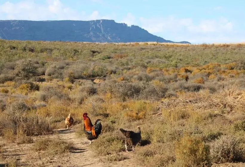 هتل Alchemy Retreat   Entire Karoo Guest Farm   Barrydale