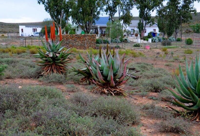 فندق Alchemy Retreat   Entire Karoo Guest Farm   Barrydale