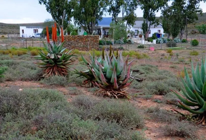 هتل Alchemy Retreat   Entire Karoo Guest Farm   Barrydale