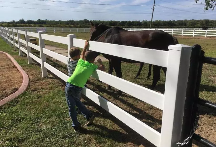ホテル Red Roof Stable And Farm Llc
