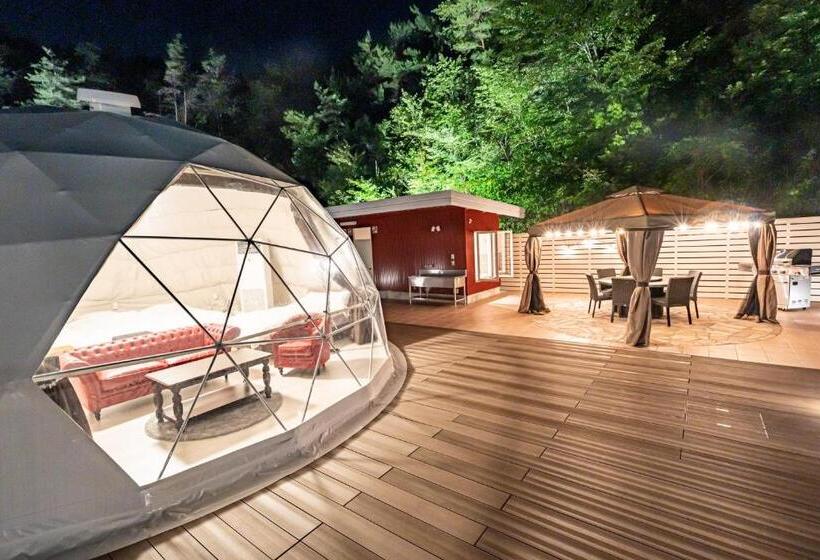 בית מלון כפרי Futureresort