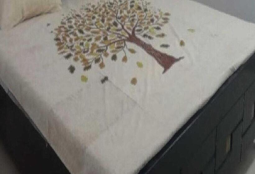 Hotel Oyo  Rohit Sagar