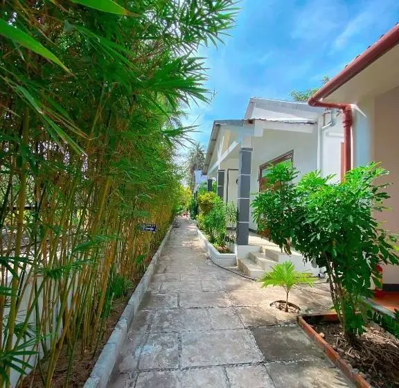 پانسیون Amihomestay