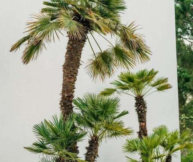 Elite Bay Hotel Lalez Durres