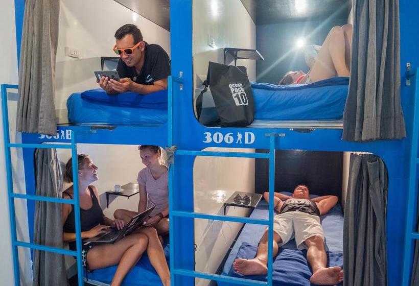 הוסטל Hacienda Backpackers