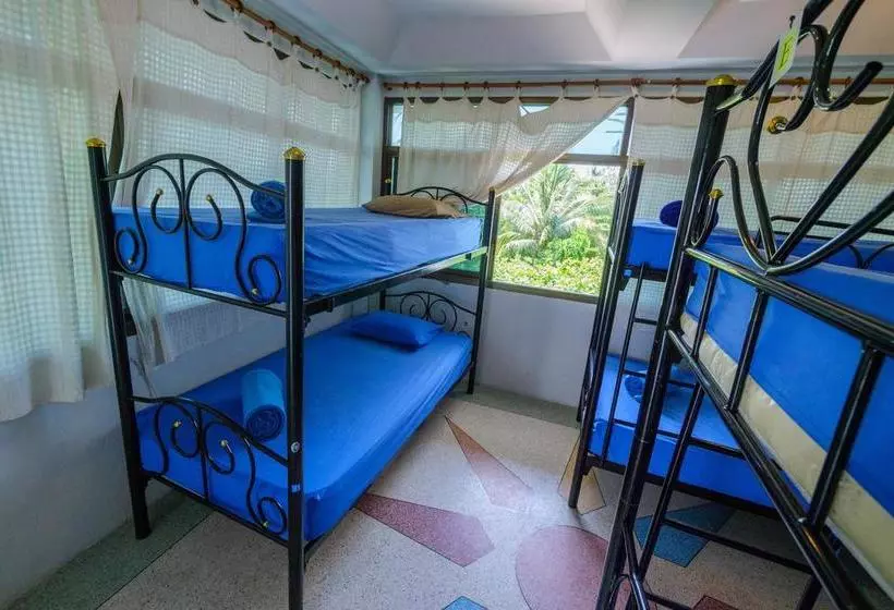 旅馆 Hacienda Backpackers