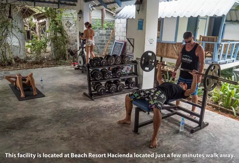 旅馆 Hacienda Backpackers