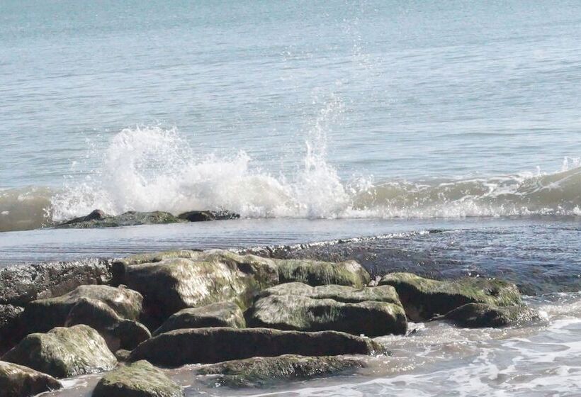 Hotelli Appart Hôtel Perle De Ré