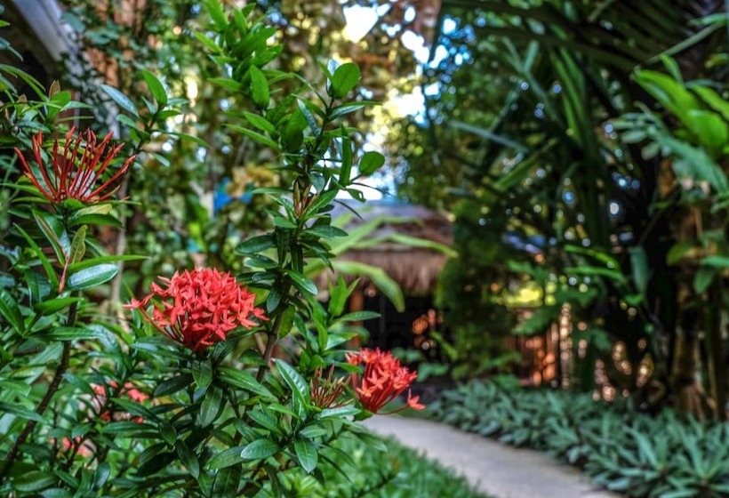 호텔 Gecko Lipe Resort