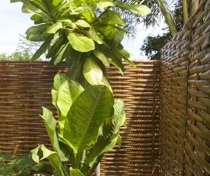 호텔 Gecko Lipe Resort