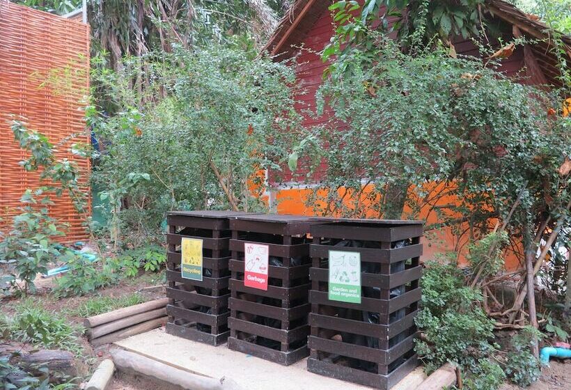 호텔 Gecko Lipe Resort