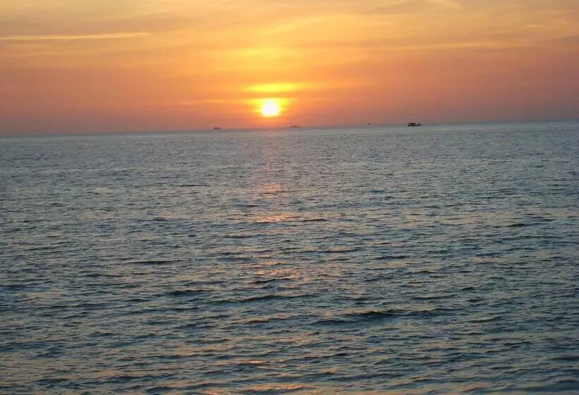 Hotel Pineapple Guesthouse