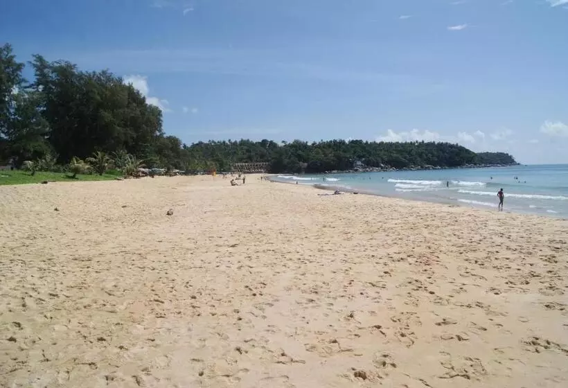 Hotel Pineapple Guesthouse