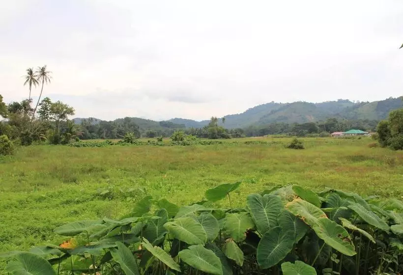 فندق على الطريق Desa Terrace