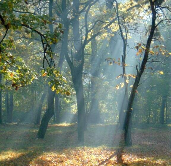 تختخواب و صبحانه Cottage Spa Ada