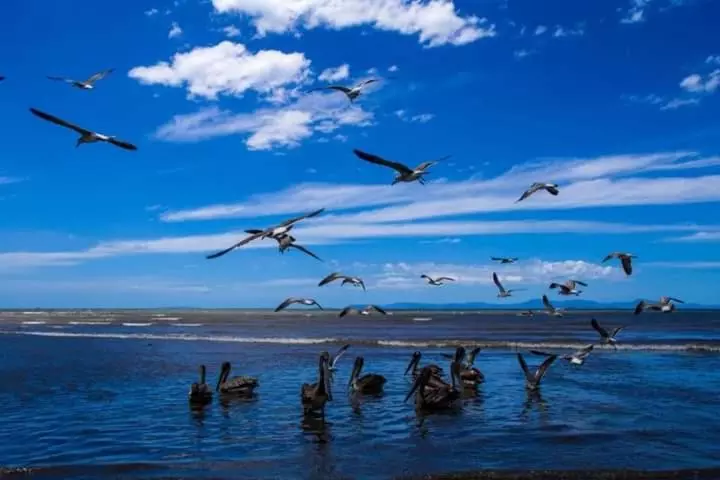 Aamiaismajoitus (B&B) House Of The Macaws