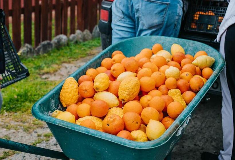 酒店 Agriturismo La Sena