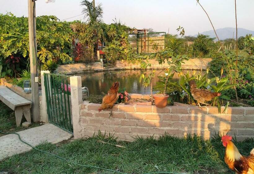 Eco Hotel Y Cabañas