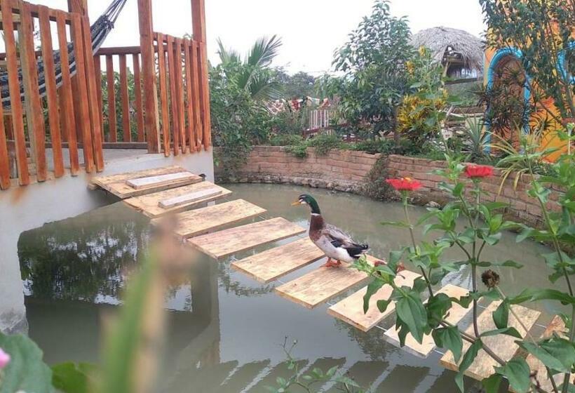 Eco Hotel Y Cabañas