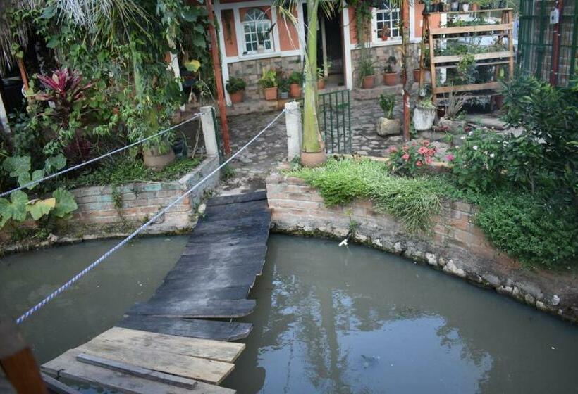 Eco Hotel Y Cabañas