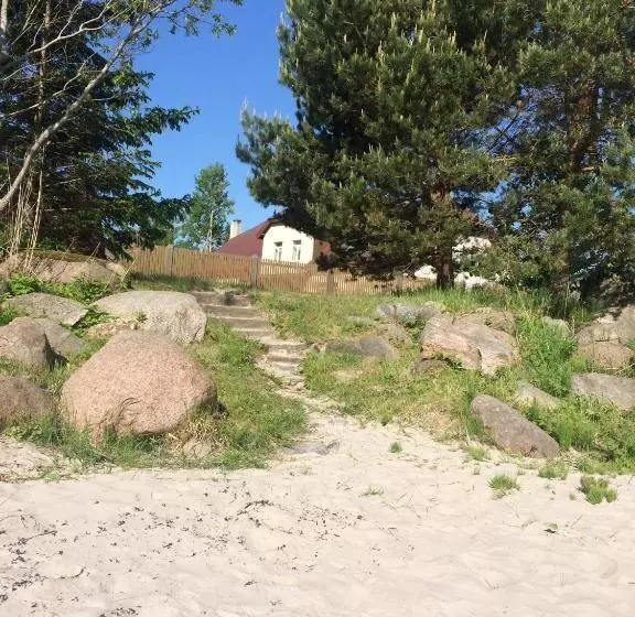 پانسیون Viesu Nams Zivtiņi