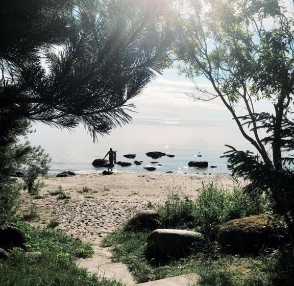 پانسیون Viesu Nams Zivtiņi