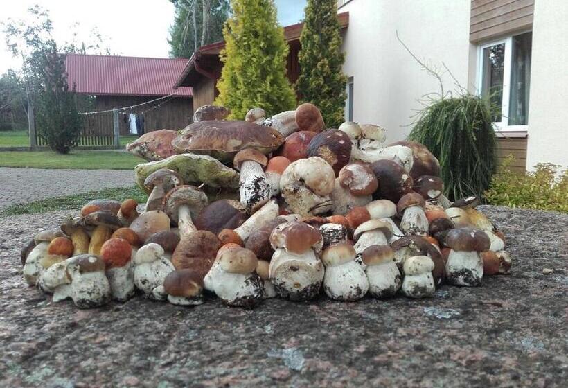 پانسیون Viesu Nams Zivtiņi