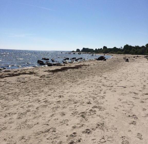 پانسیون Viesu Nams Zivtiņi