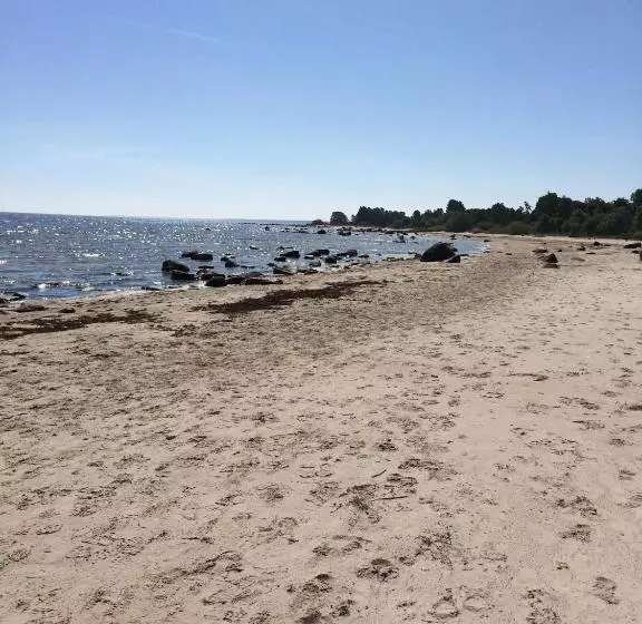 پانسیون Viesu Nams Zivtiņi