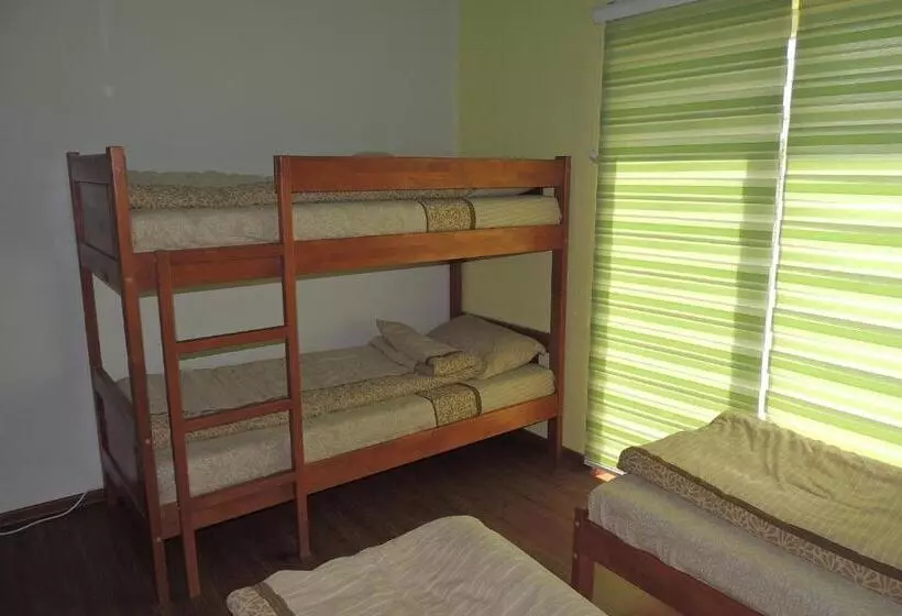 Hostel Villa Popović