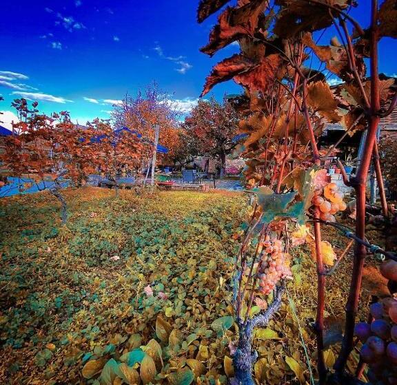 هتل Chateau Ikalto