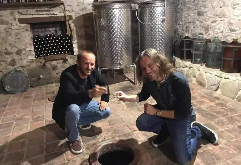 هتل Chateau Ikalto