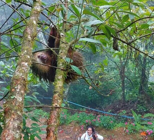 Отель Vistas Del Cielo