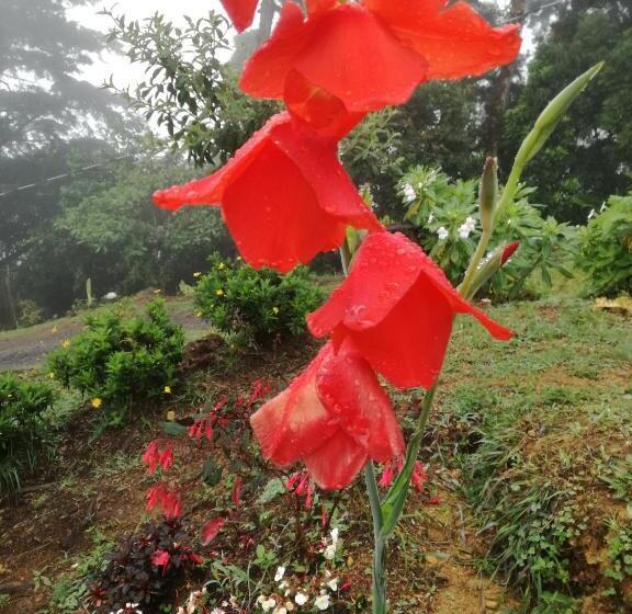 בית מלון כפרי Vistas Del Cielo