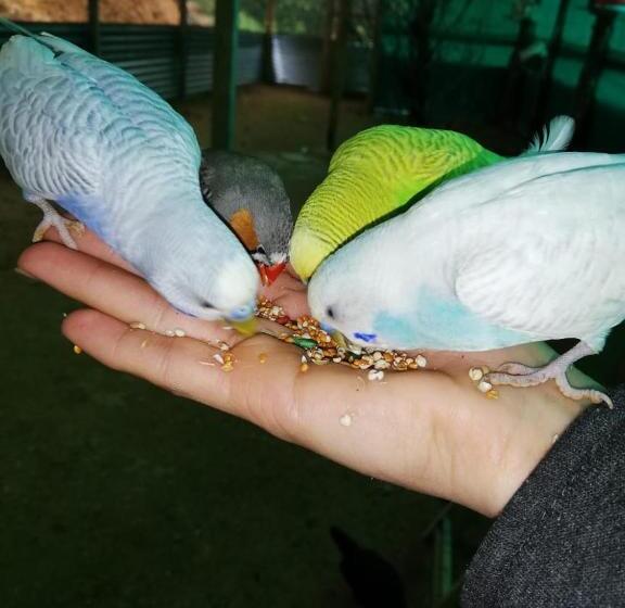 בית מלון כפרי Vistas Del Cielo